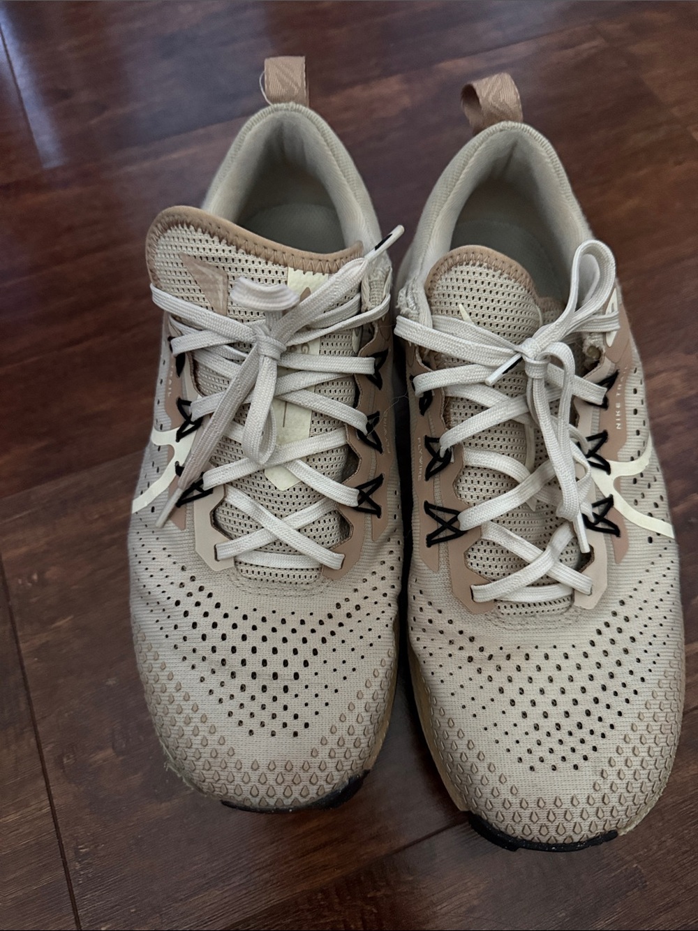 Nike Pegasus Trail